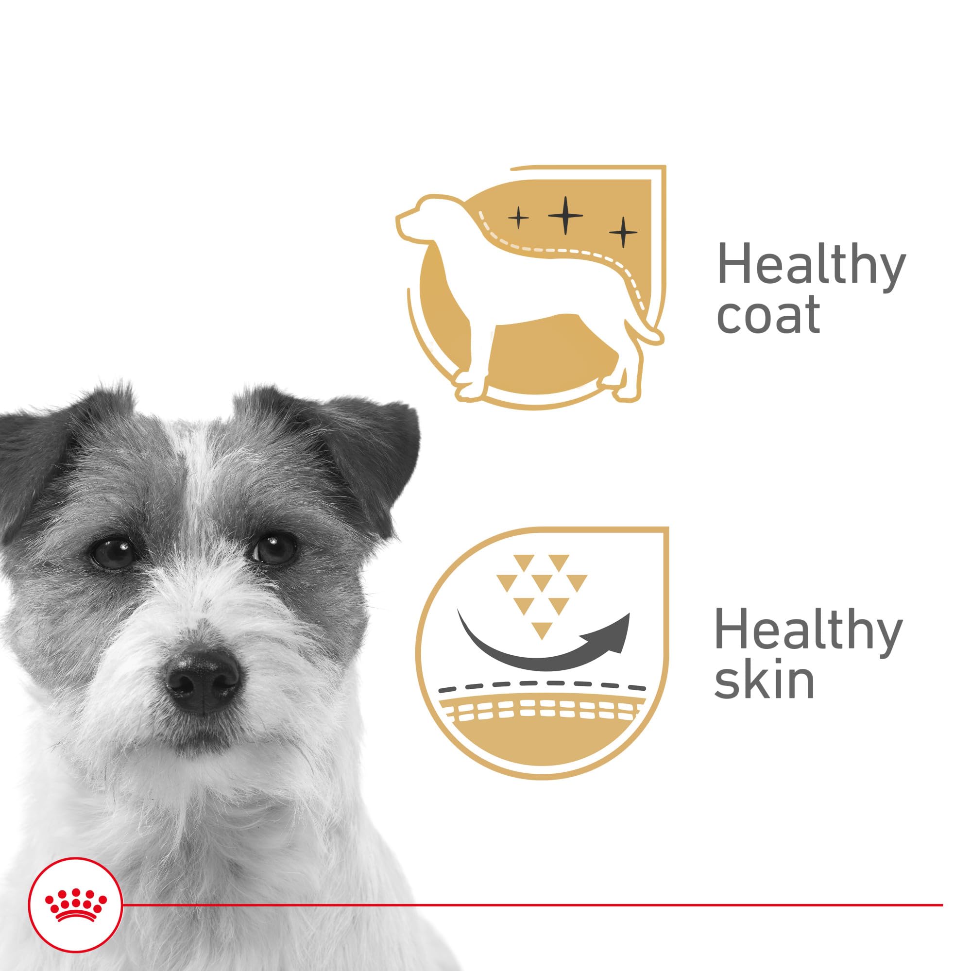 Royal Canin Beauté Loaf en Sauce: texture appétissante en morceau.
