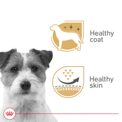 Royal Canin Beauté Loaf en Sauce: texture appétissante en morceau.