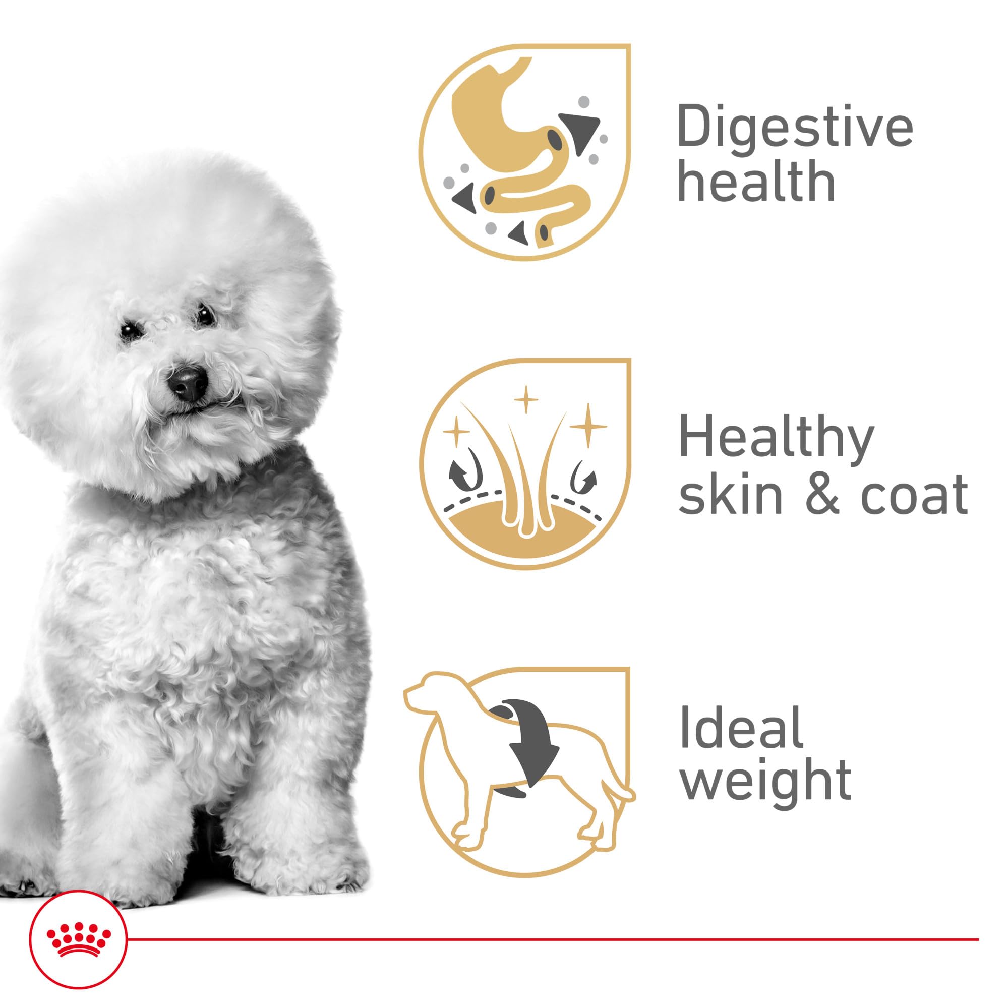 Royal Canin Bichon Frise Adulte — soutien digestif et selles régulières.