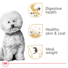 Royal Canin Bichon Frise Adulte — soutien digestif et selles régulières.