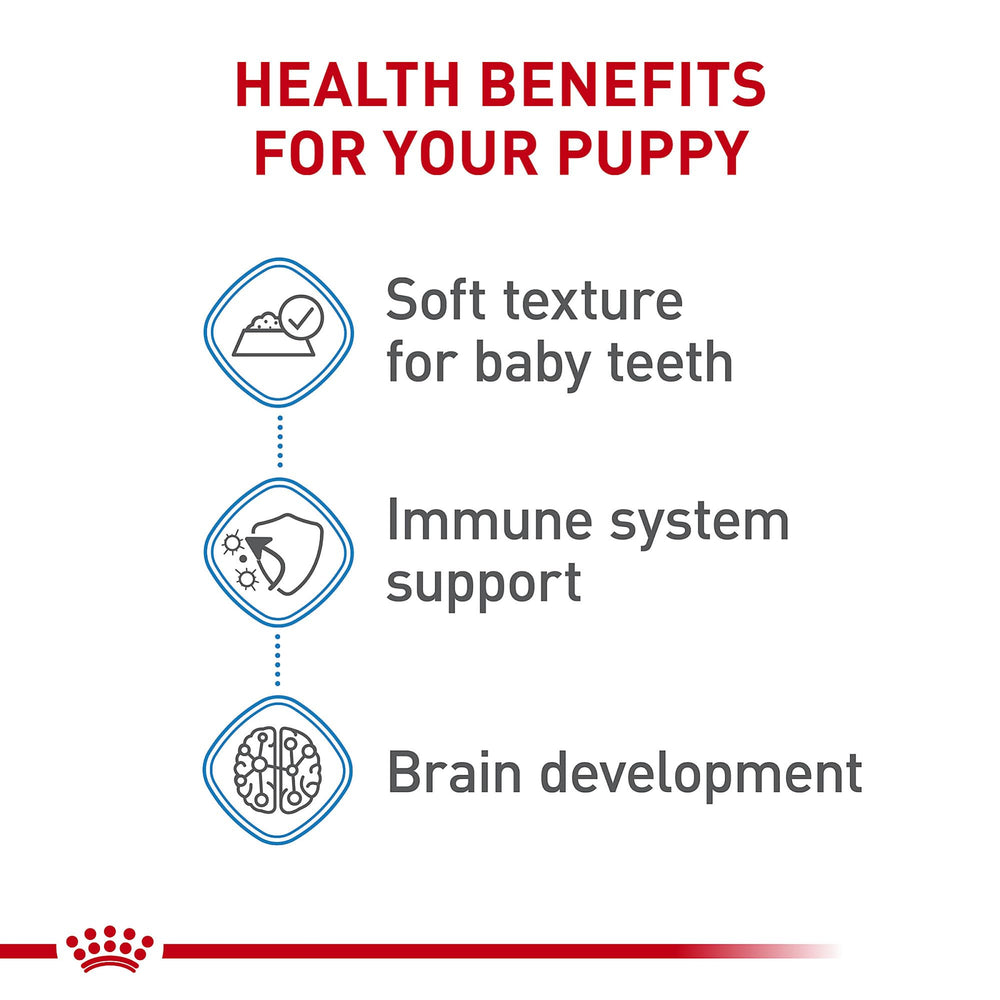 Royal Canin boite ouverte pour chiots, présentation prête à servir.