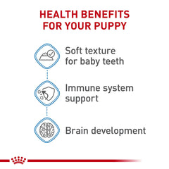 Royal Canin boite ouverte pour chiots, présentation prête à servir.