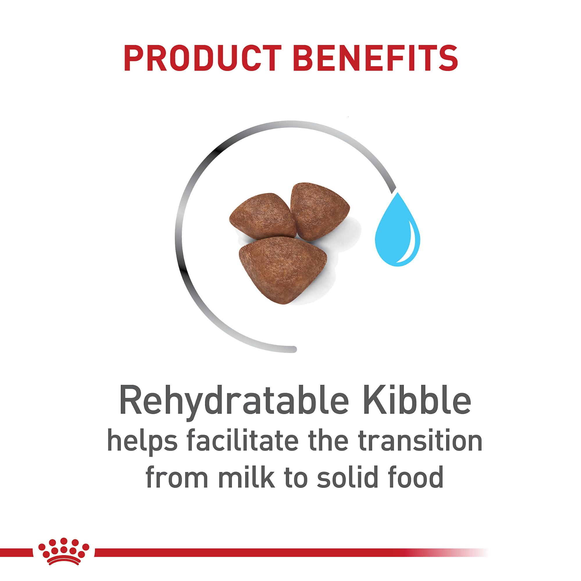 Royal Canin bouillie réhydratée pour transition alimentaire facile maman et chiots.