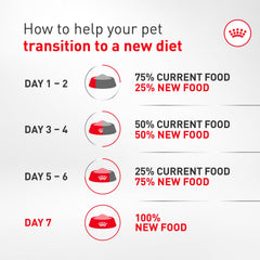 Royal Canin Bouledogue Français – bol de nourriture humide prêt à servir.