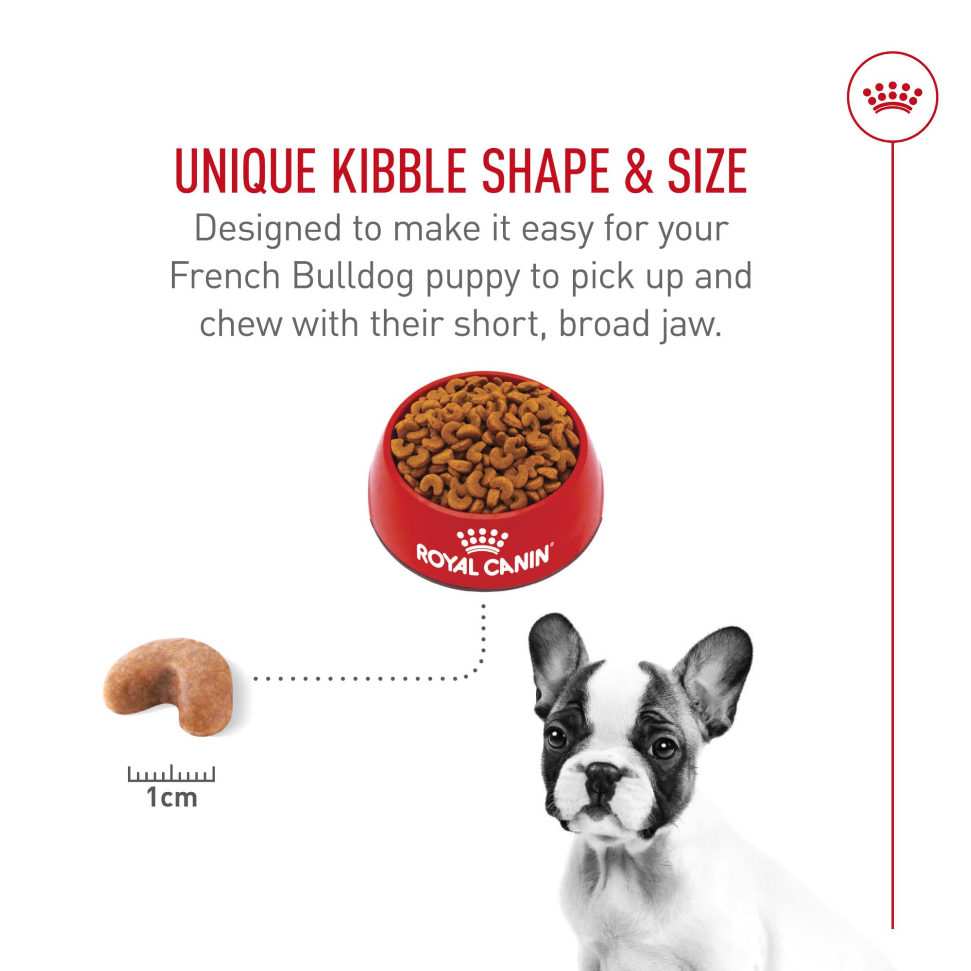 ROYAL CANIN Bouledogue Français Chiot — texture croquante adaptée à la mâchoire.