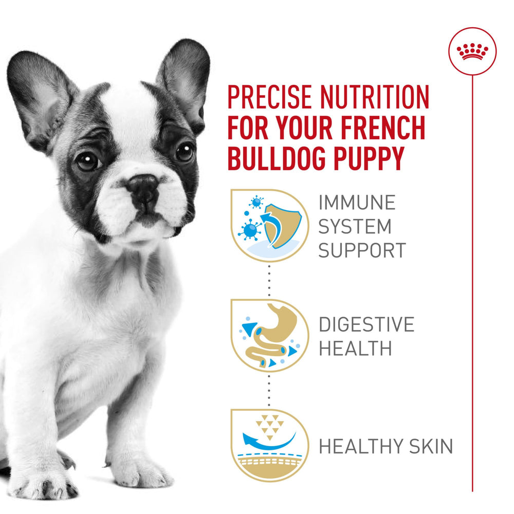 ROYAL CANIN Bouledogue Français Chiot — format sac de 3 lb pratique.