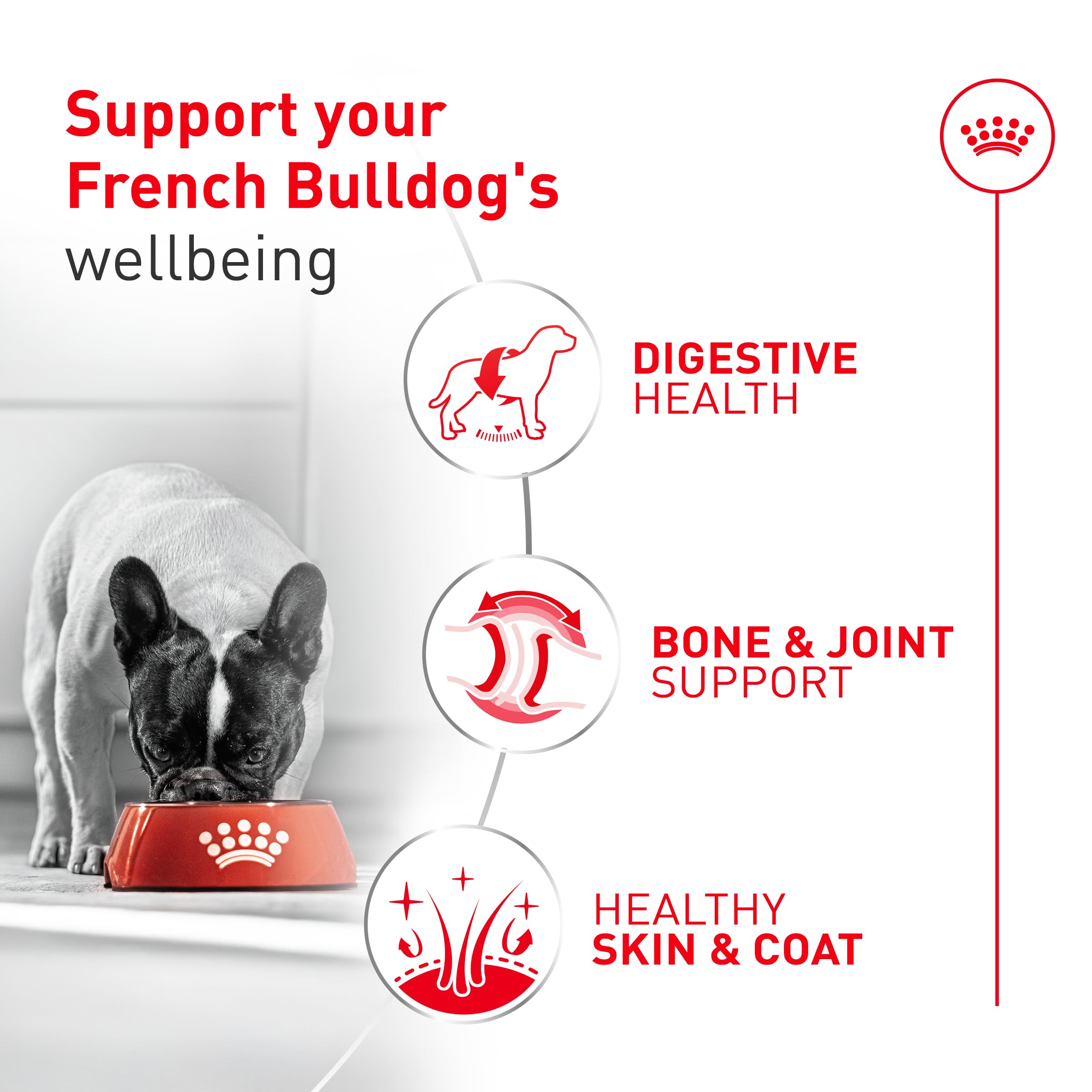 Royal Canin Bouledogue Français – emballage clair facilitant la préparation et le rangement.