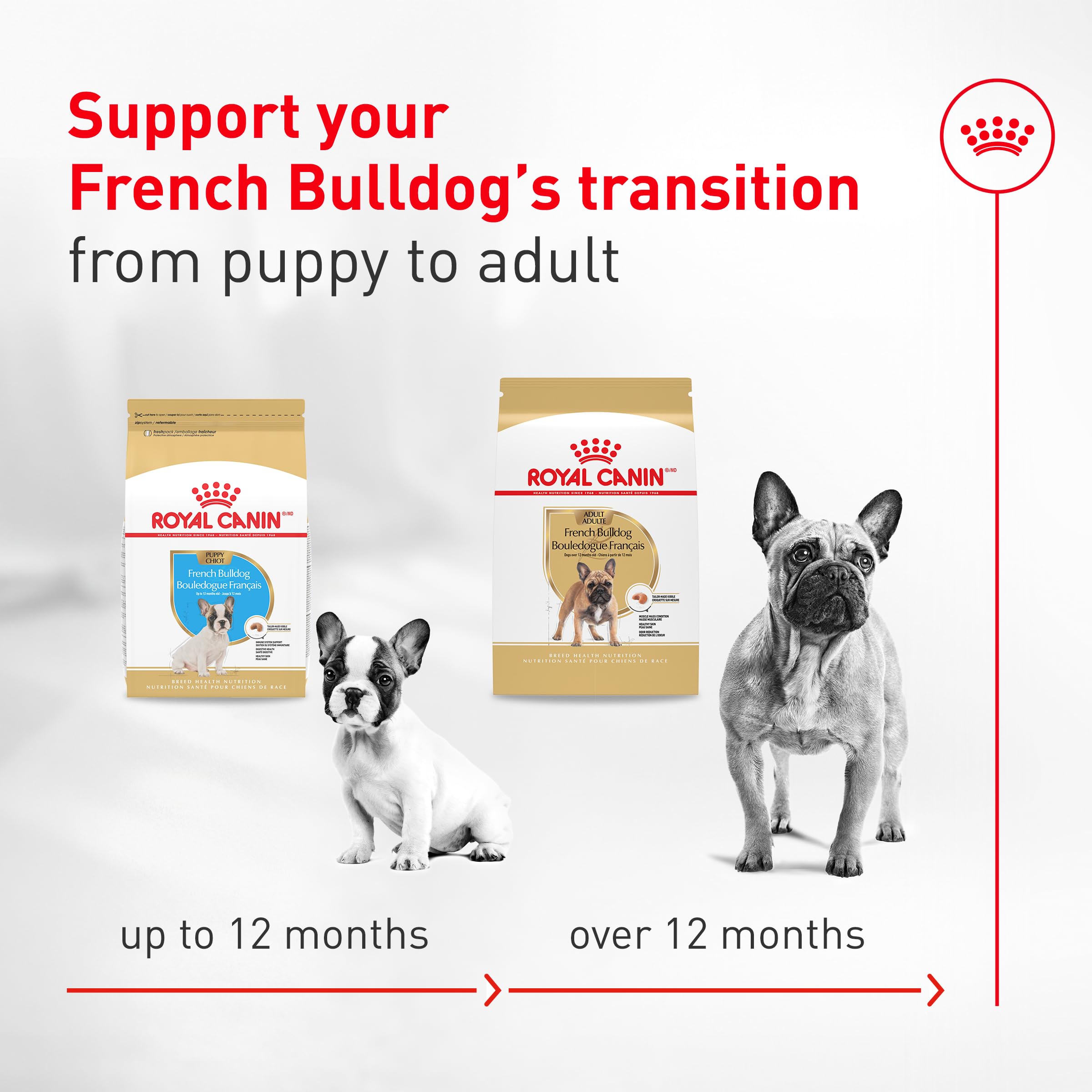 Royal Canin Bouledogue Français – soutien des os et des articulations grâce à EPA DHA.
