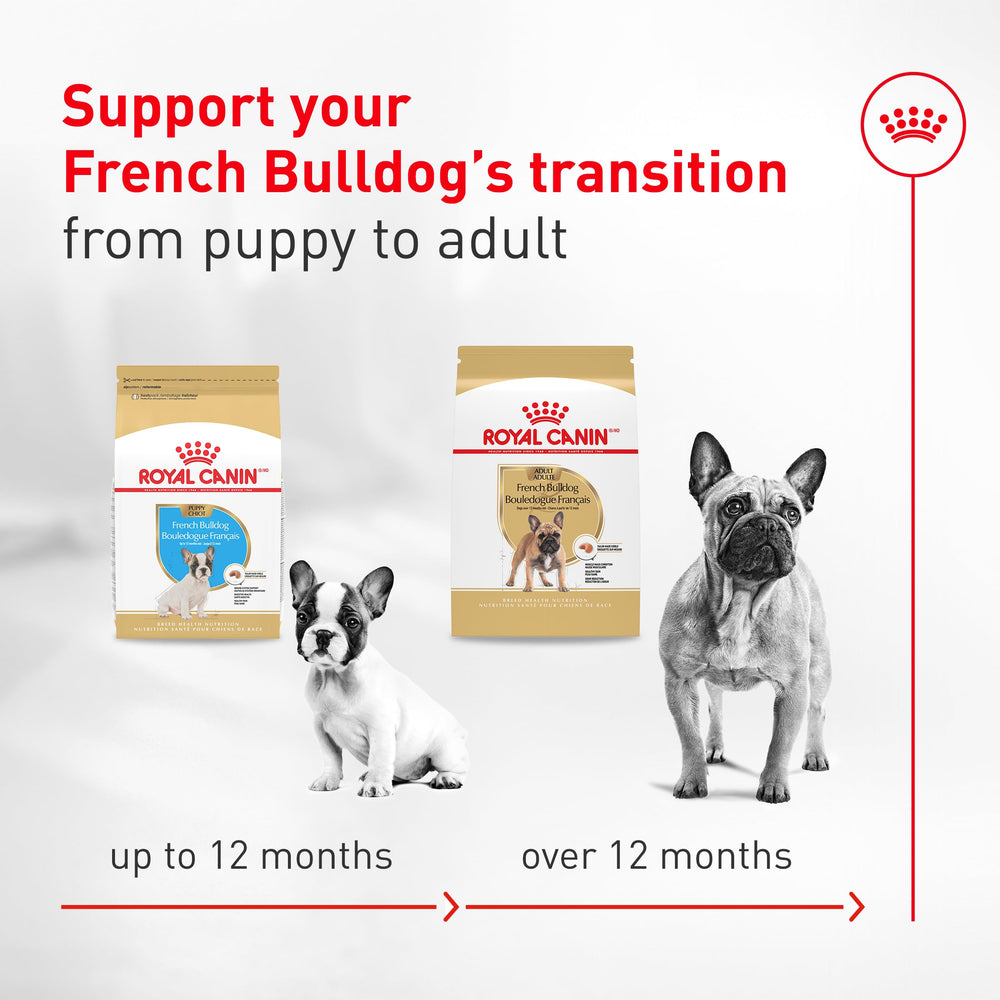 Royal Canin Bouledogue Français – soutien des os et des articulations grâce à EPA DHA.