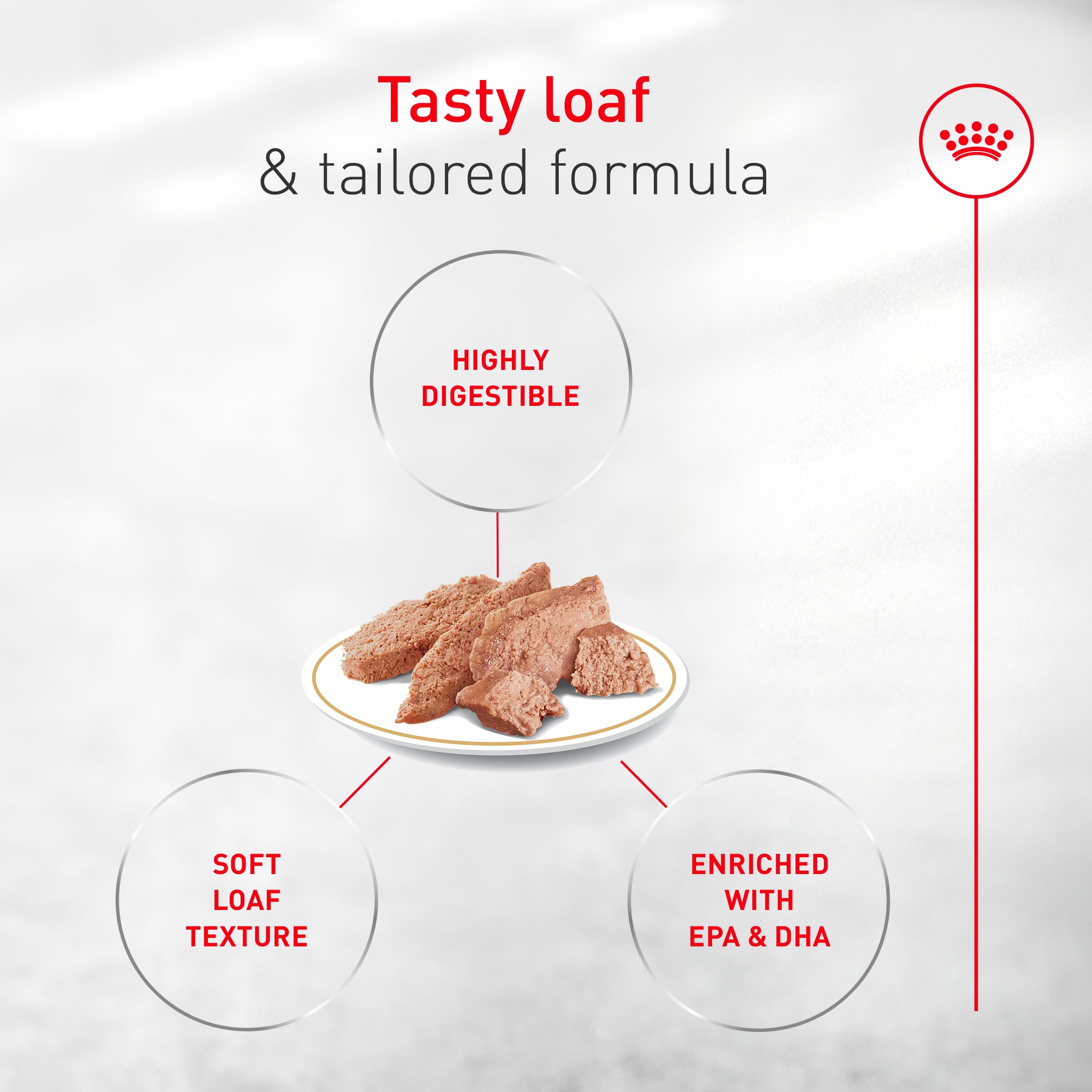 Royal Canin Bouledogue Français – texture pâté tendre pour une dégustation agréable.