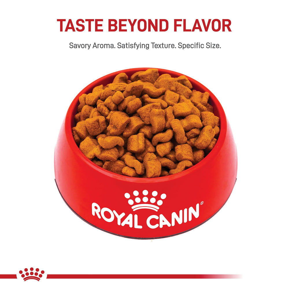 Complexe antioxydant exclusif ROYAL CANIN pour Boxer Adulte