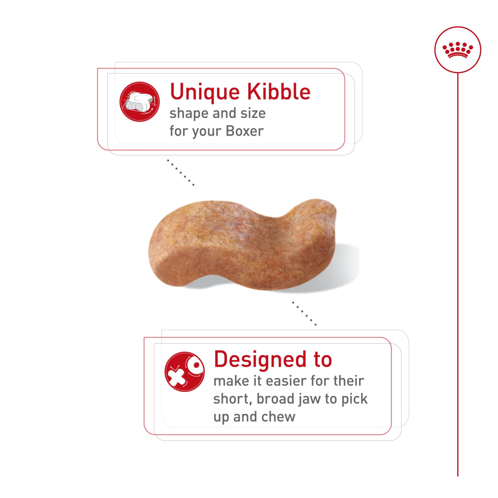 Bol-repas ROYAL CANIN Boxer Adulte avec croquettes pour repas quotidien