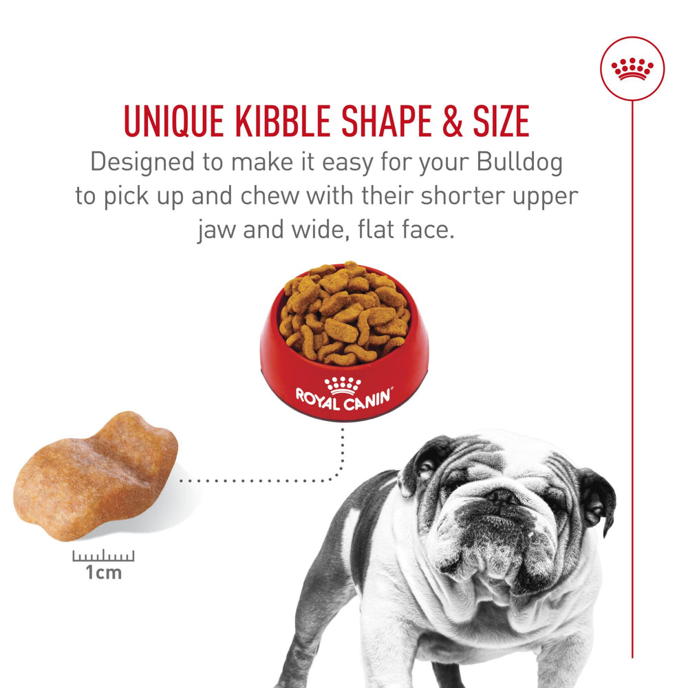 Royal Canin Bulldog Adulte – digestion facilitée grâce protéines digestibles et fibres précises