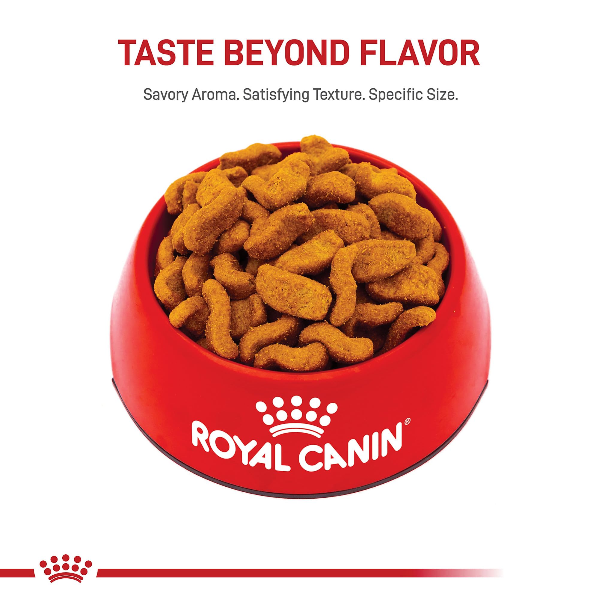 Royal Canin Bulldog Adulte – aide au maintien d'un poids idéal