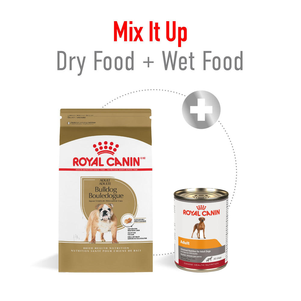 Royal Canin Bulldog Adulte – odeurs réduites et selles plus régulières