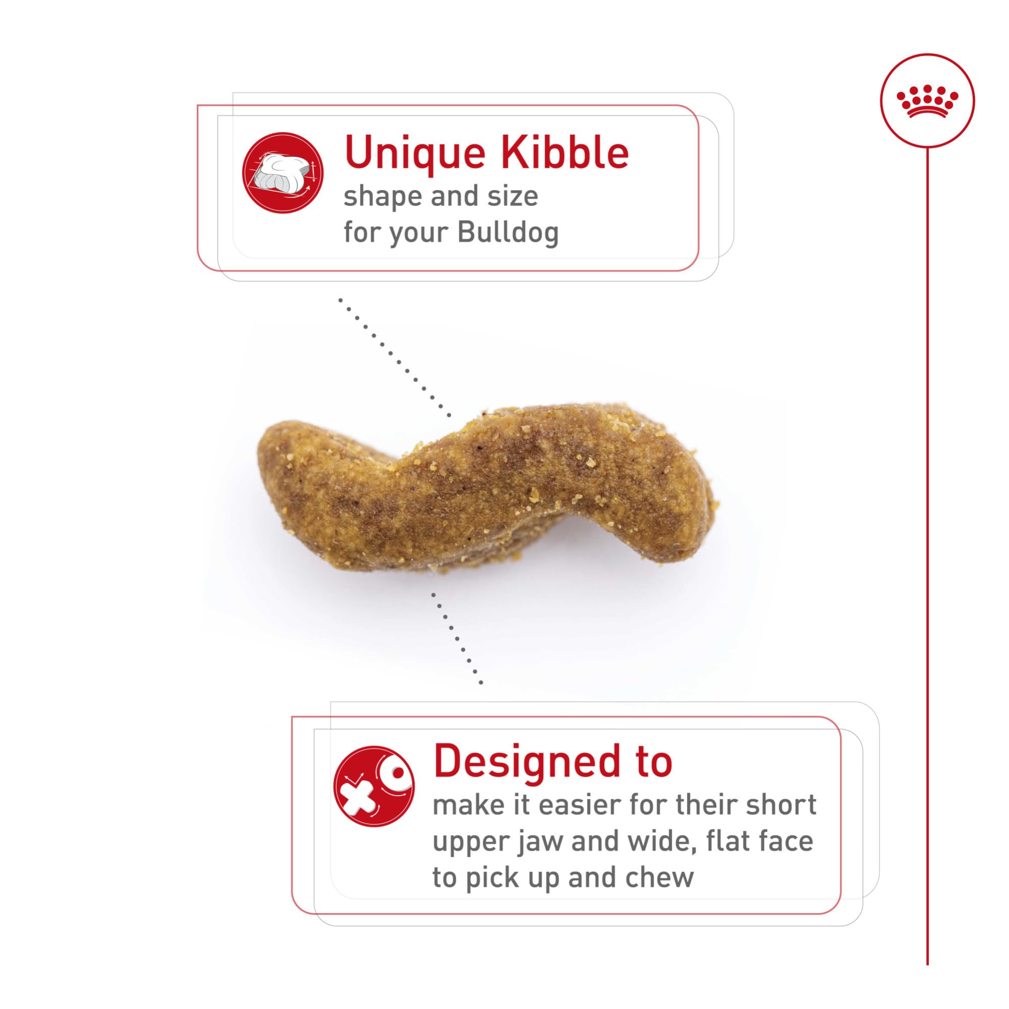 Royal Canin Bulldog Adulte – peau et poil sains grâce à des nutriments ciblés