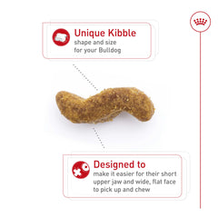 Royal Canin Bulldog Adulte – peau et poil sains grâce à des nutriments ciblés