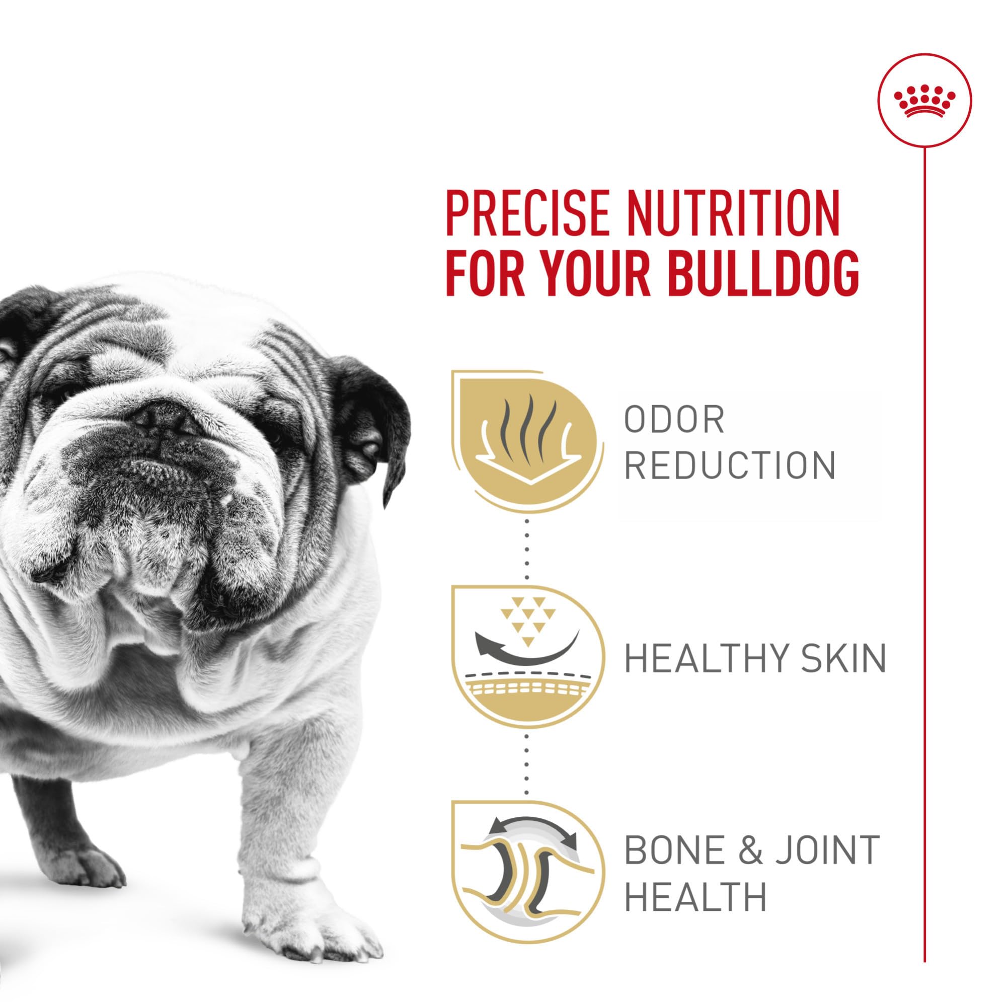 Royal Canin Bulldog Adulte – soutien des articulations avec EPA et DHA