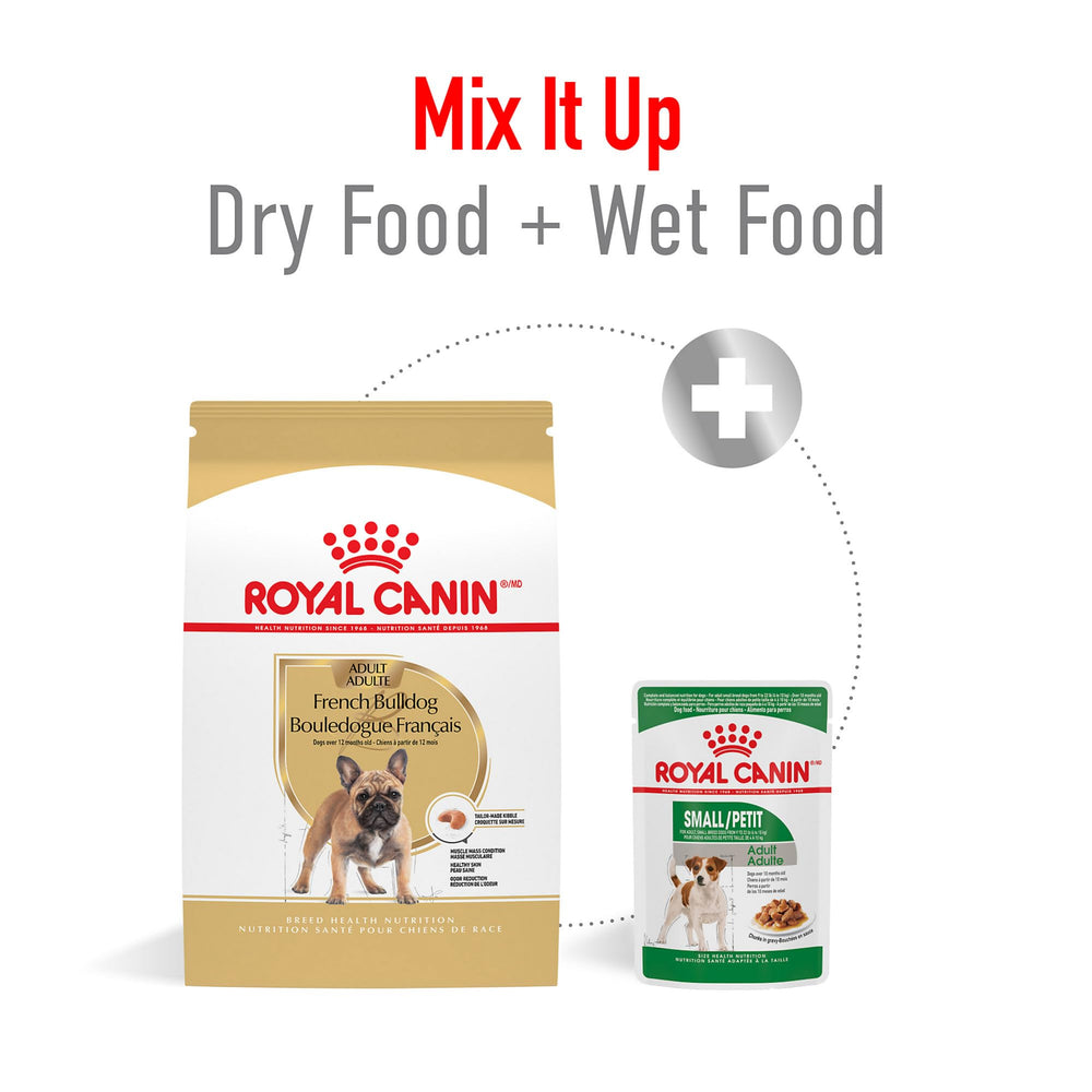 Royal Canin qualité et sécurité dans une nourriture spécialisée