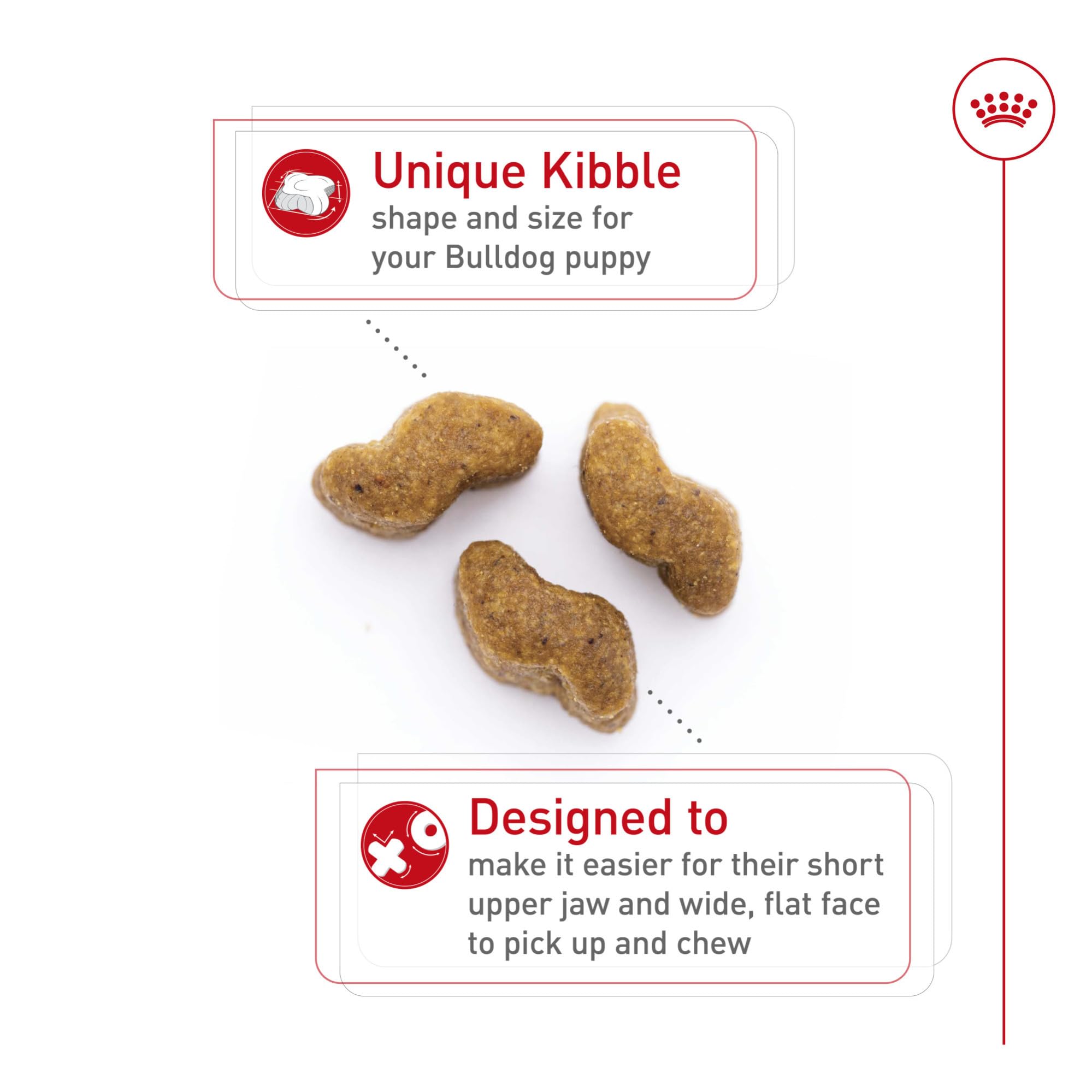 Croquettes Royal Canin Bulldog chiot optimisées pour la mastication