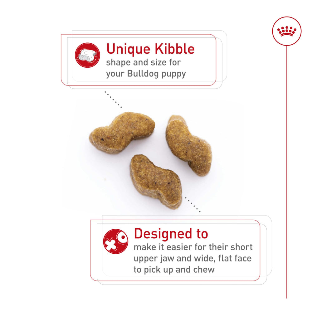 Croquettes Royal Canin Bulldog chiot optimisées pour la mastication