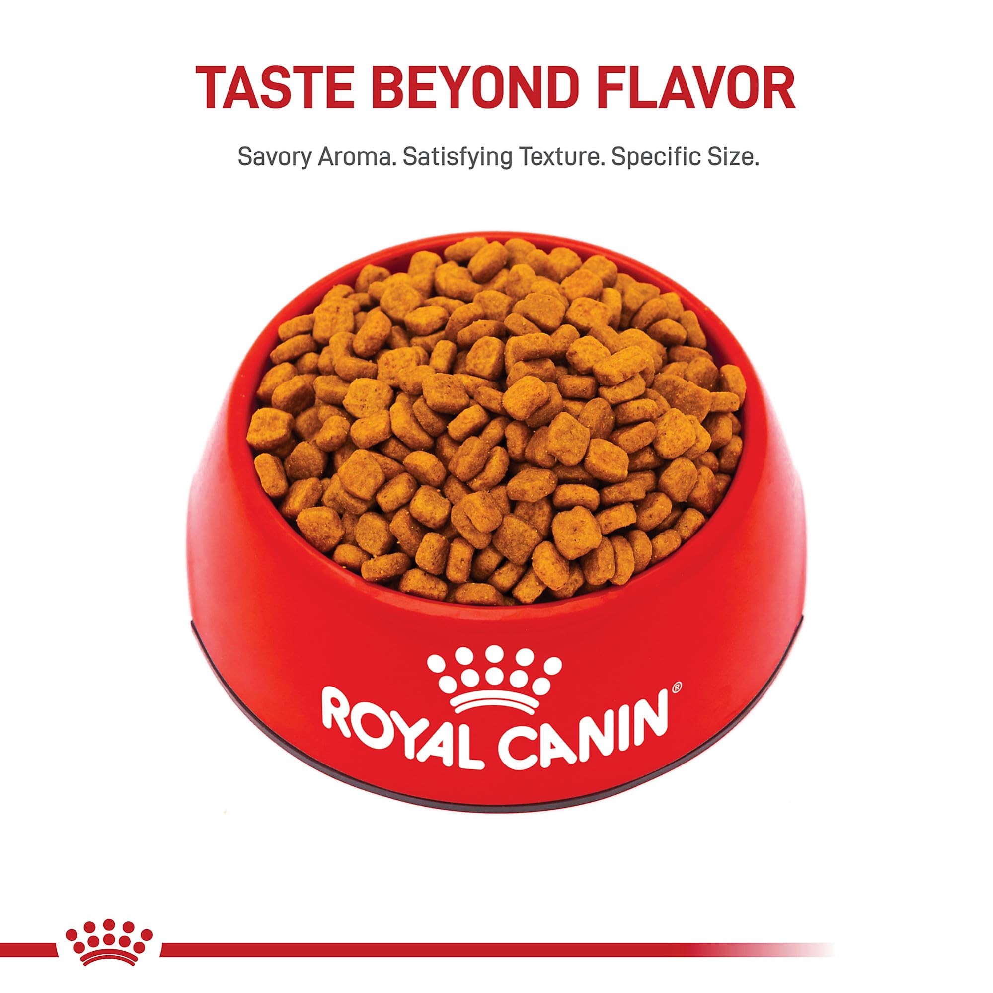 Caniche adulte Royal Canin: bol et croquettes facilité d'alimentation