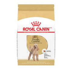 Caniche adulte Royal Canin: croquettes croustillantes adaptées au museau droit pour une prise facilitée