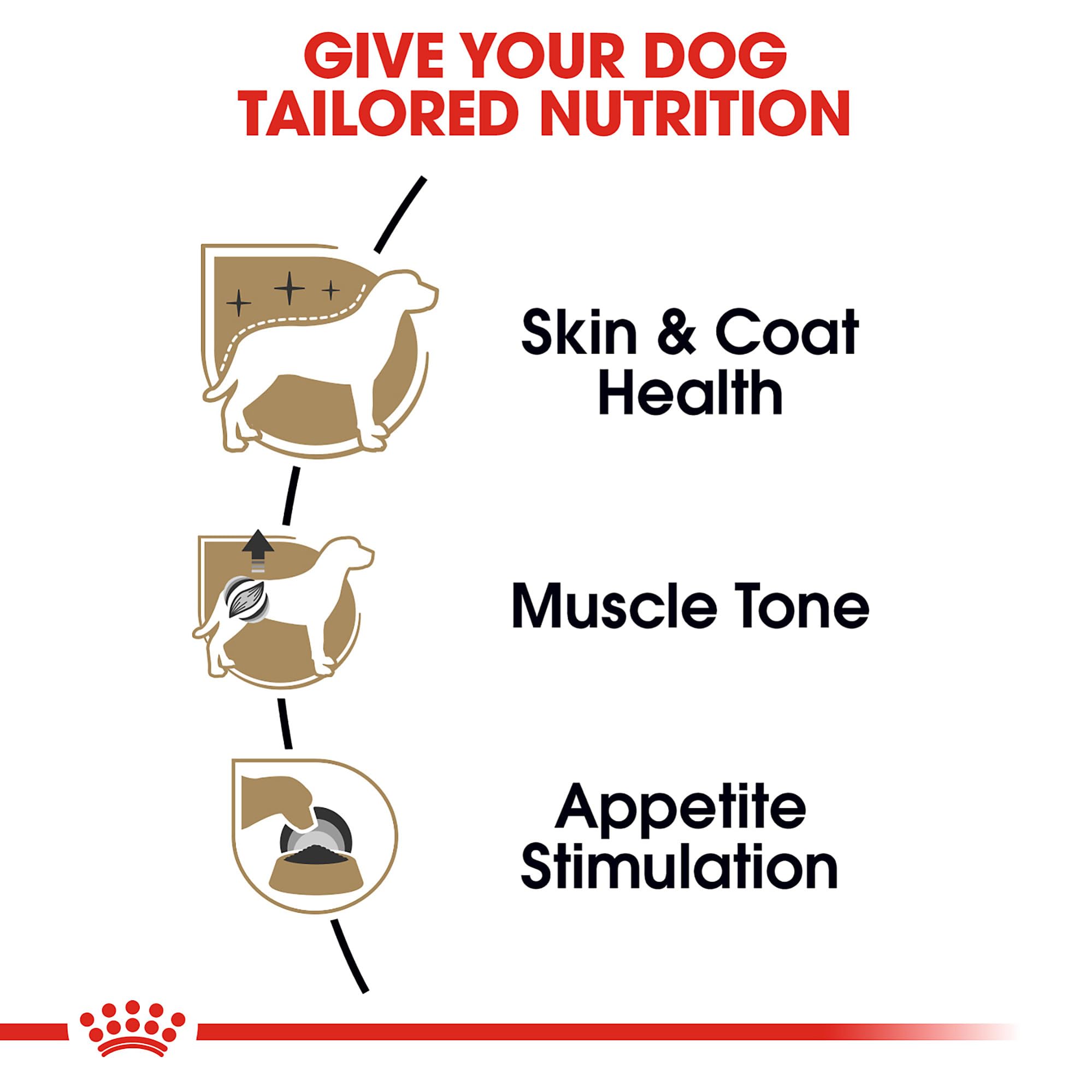 ROYAL CANIN Caniche Adulte peau et pelage soutenus par oméga-3