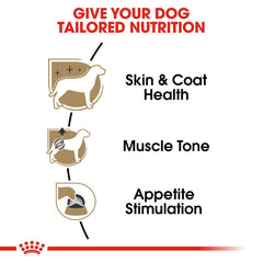 ROYAL CANIN Caniche Adulte peau et pelage soutenus par oméga-3
