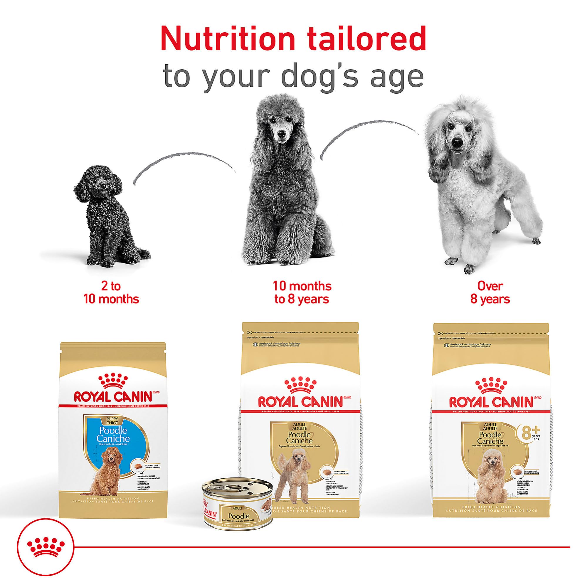 ROYAL CANIN Caniche Adulte repas complet et équilibré