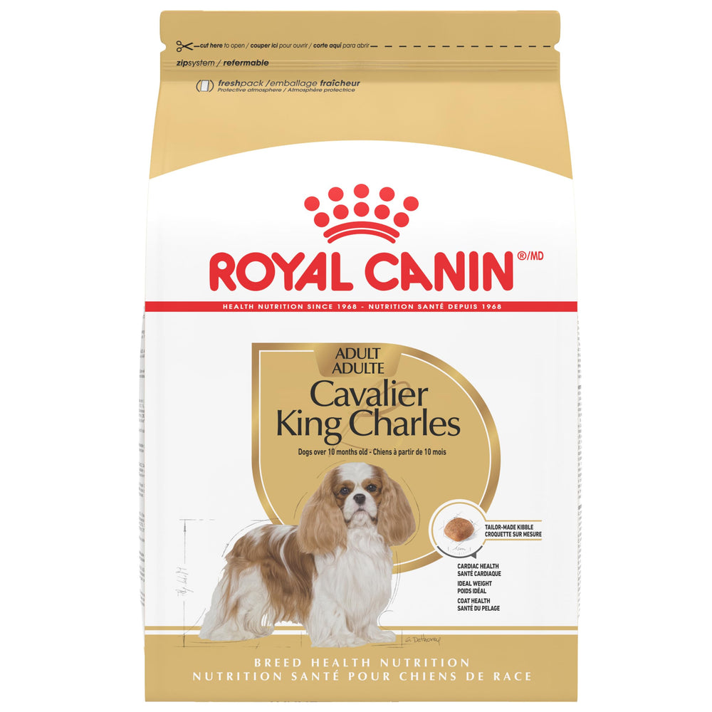 ROYALE CANIN Cavalier King Charles Spaniel Adulte, croquettes adaptées facilitant la prise en bouche.