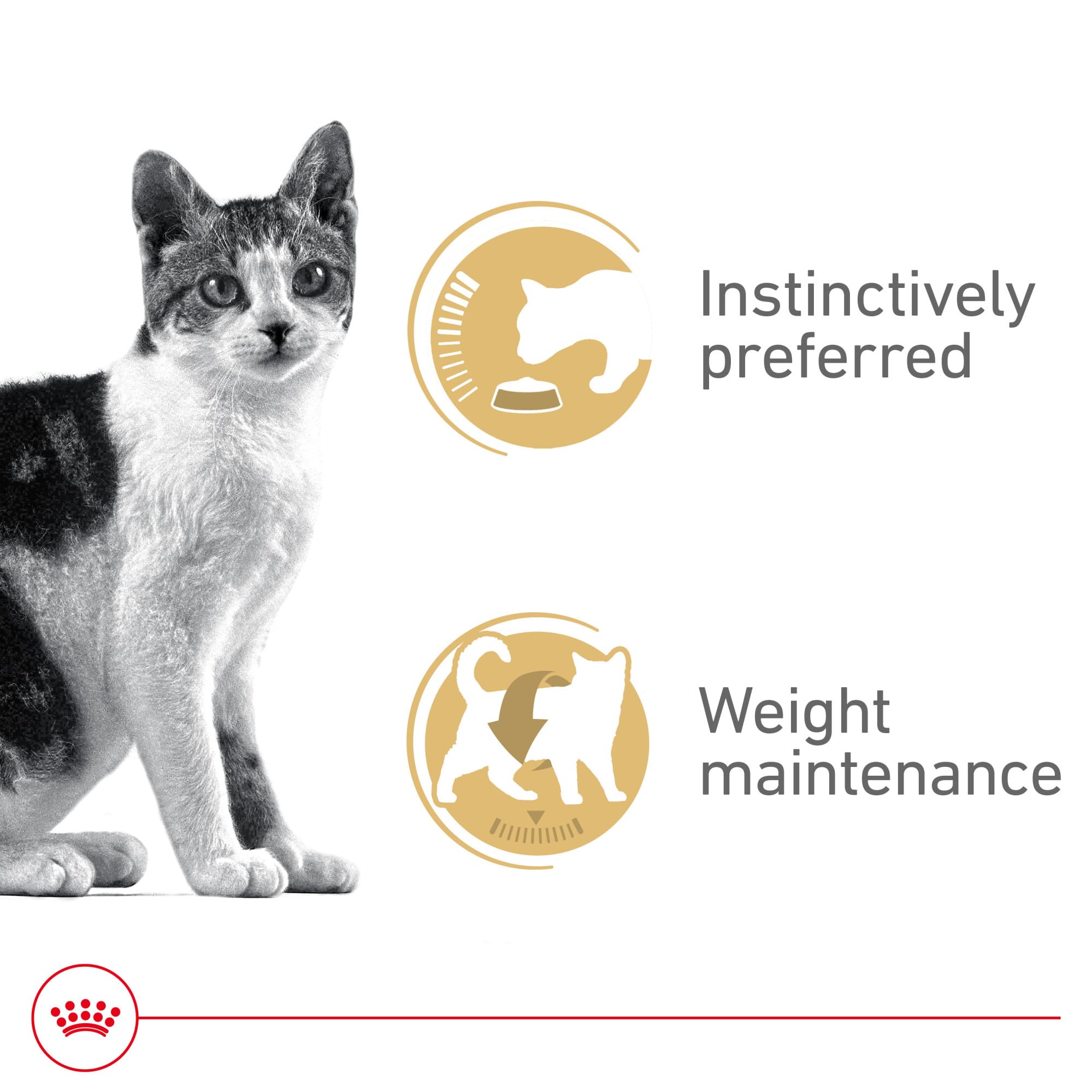 Royal Canin Chat Adulte Instinctif, texture tendre en sauce pour gourmets exigeants.