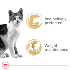 Royal Canin Chat Adulte Instinctif, texture tendre en sauce pour gourmets exigeants.