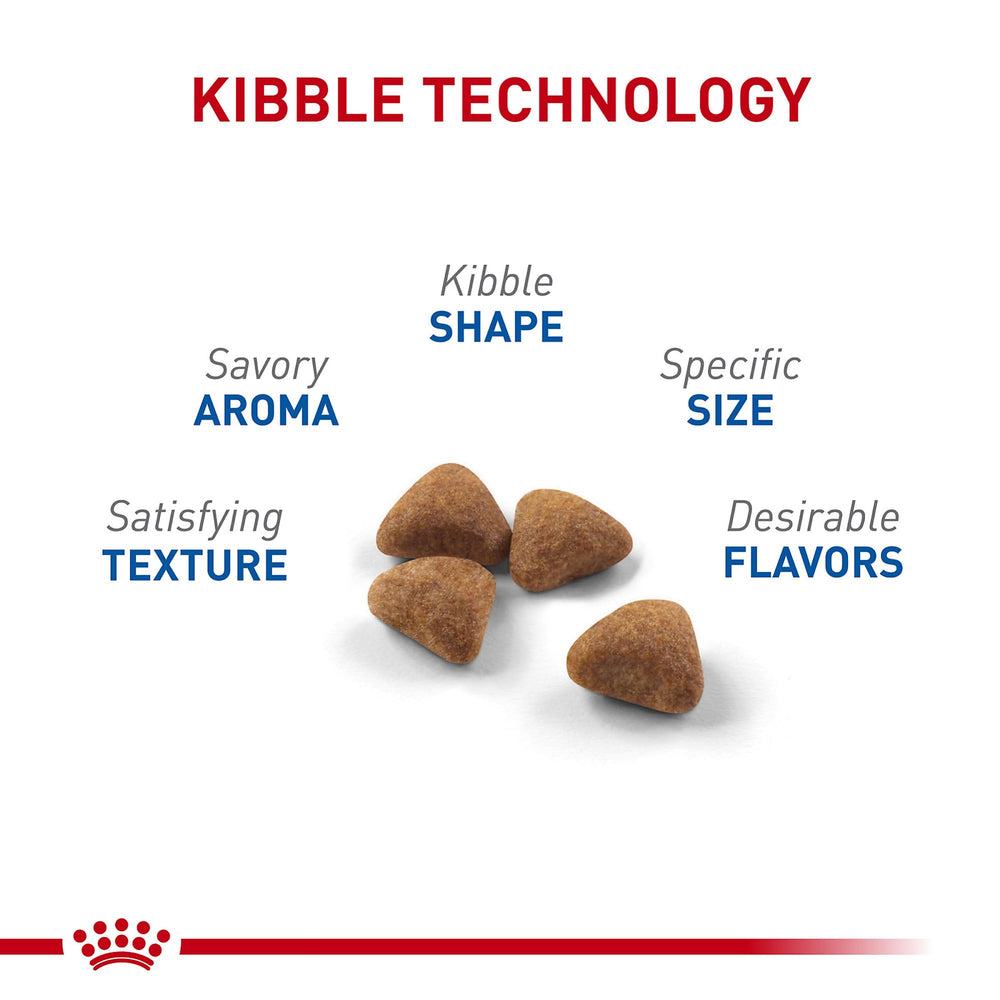 ROYAL CANIN intérieur – croquettes adaptées pour aider le passage des poils.