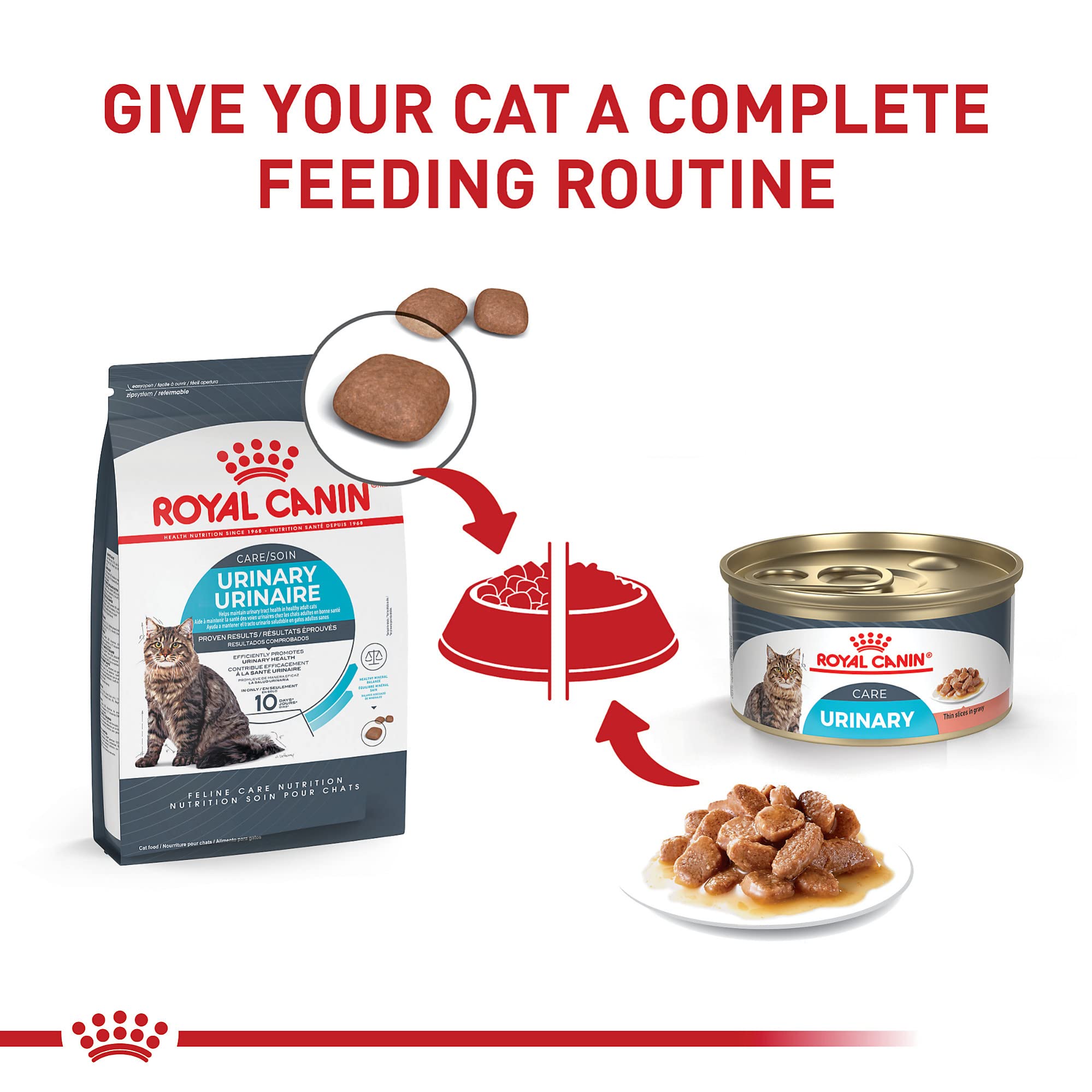 Royal Canin chat urinaire texture humide facilitant l’alimentation