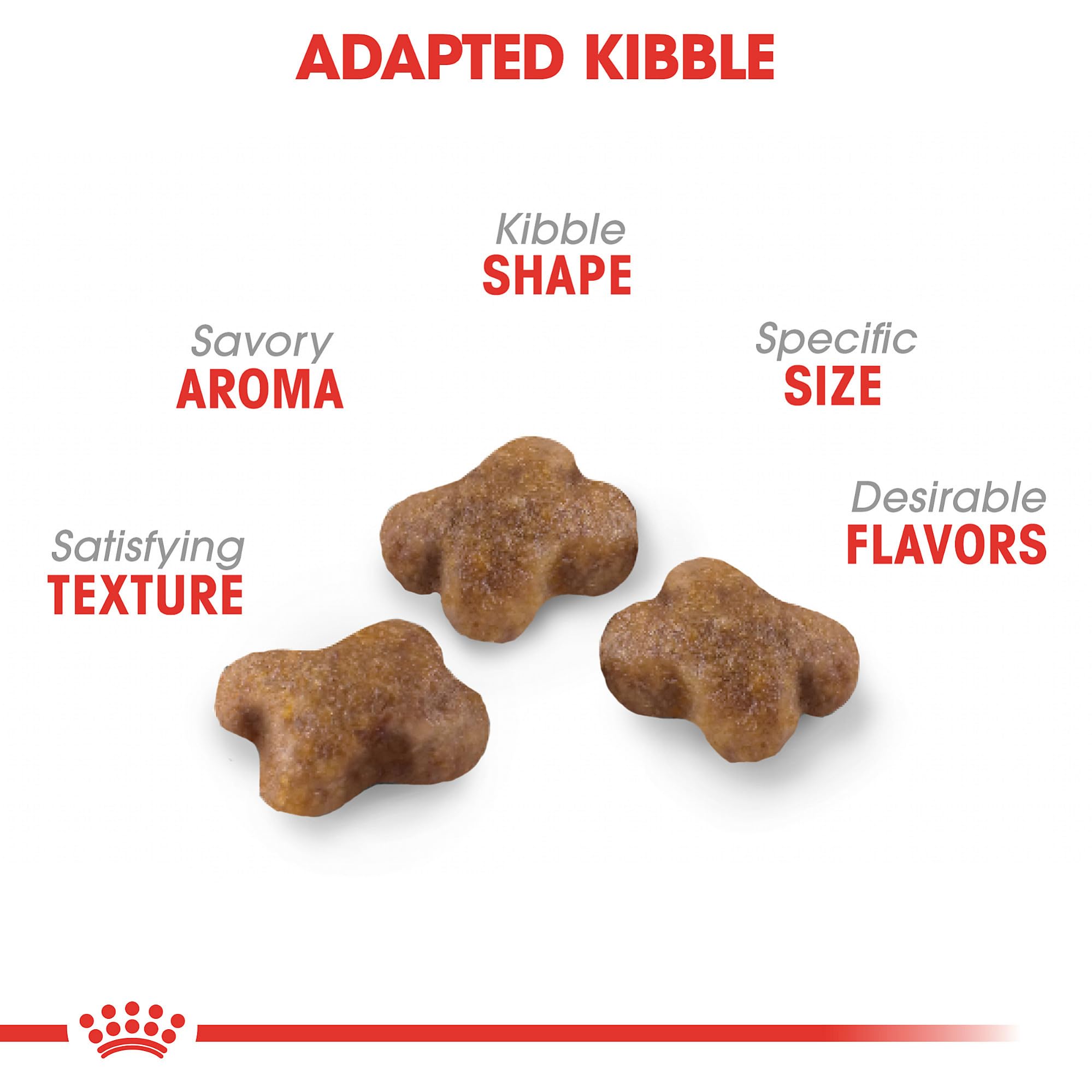 Royal Canin chaton – Croquettes sèches: bouchées faciles pour petites mâchoires.