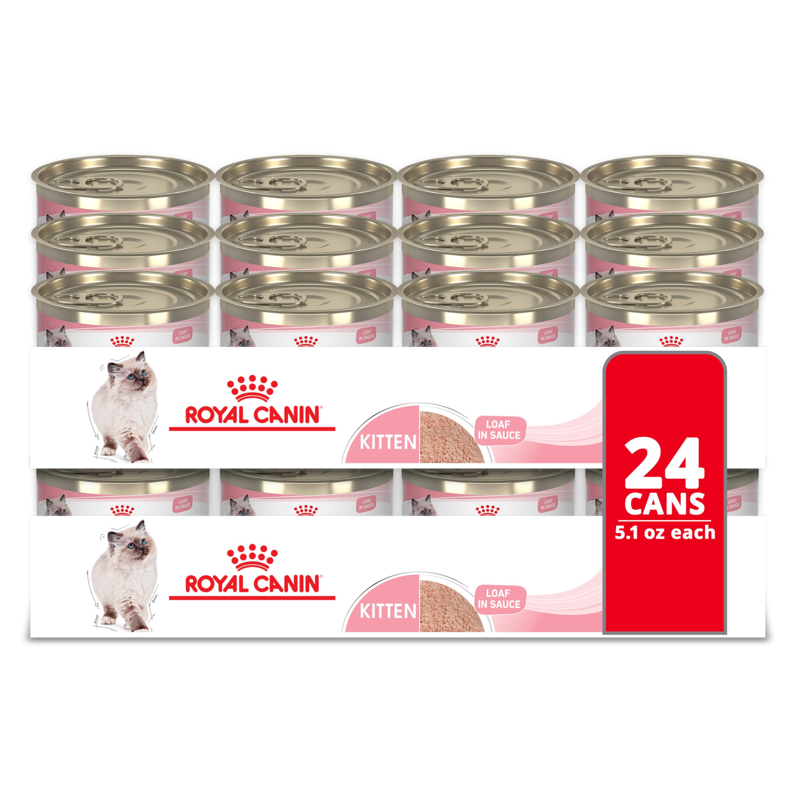 Royal Canin Kitten Loaf en Sauce, chaton appréciant la texture tendre.
