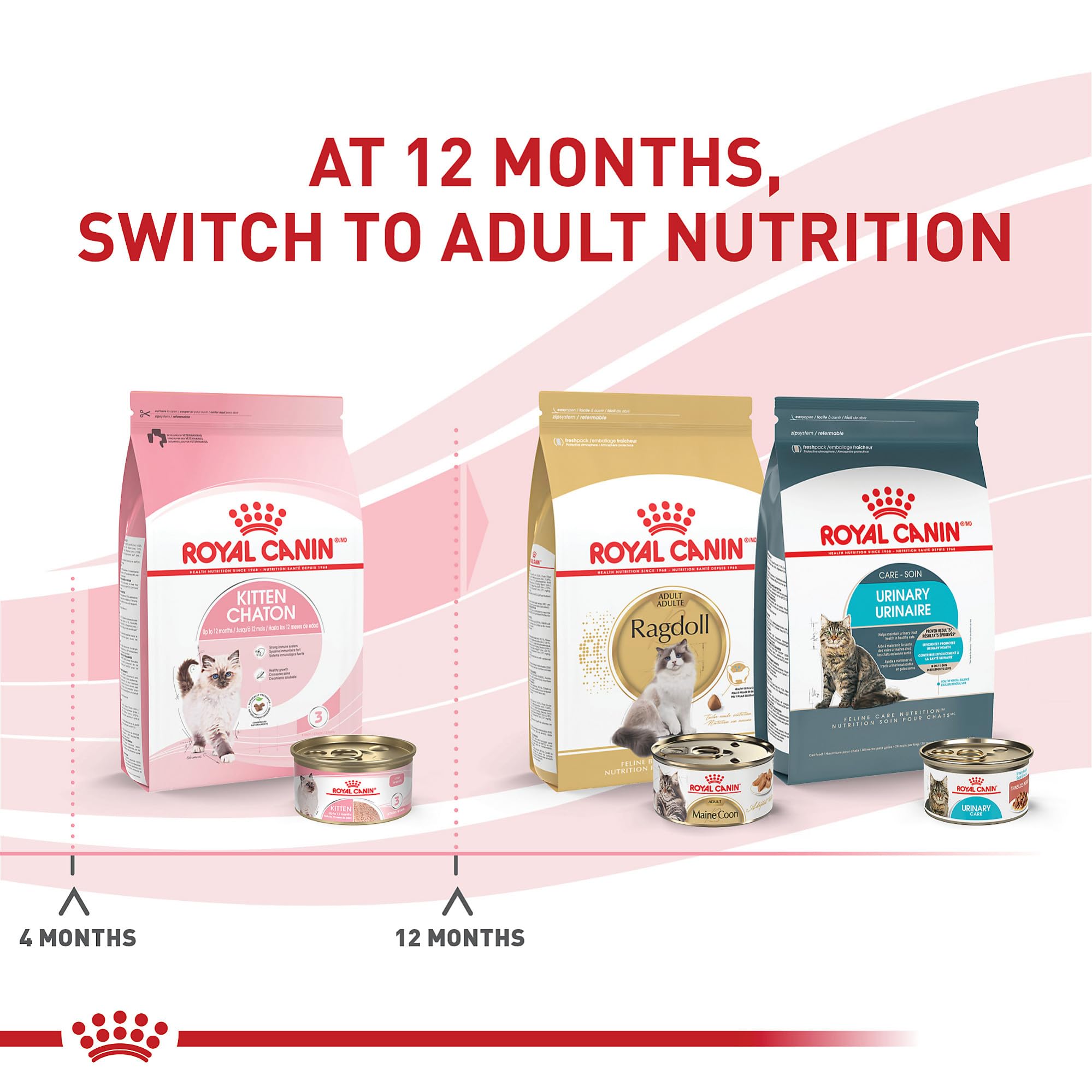 Texture tendre du loaf ROYAL CANIN chaton pour transition alimentaire
