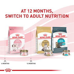 Texture tendre du loaf ROYAL CANIN chaton pour transition alimentaire