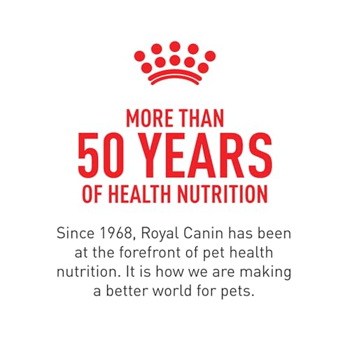 Royal Canin chaton – Mixage humide: complément idéal pour varier les textures.