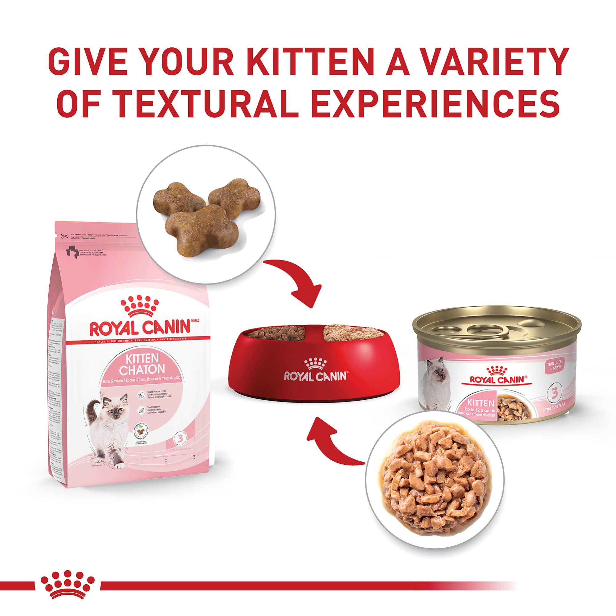 Royal Canin chaton nourriture humide avec prébiotiques et protéines digestibles