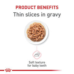 Royal Canin chaton – Proportions équilibrées protéines énergie pour le développement.