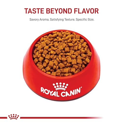 Royal Canin chaton – Sécurité et qualité: normes élevées et traçabilité.