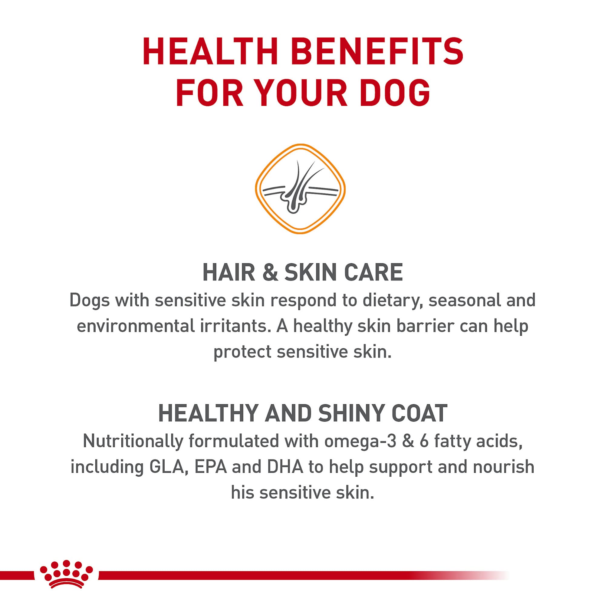 Royal Canin chien adulte poil brillant, soutien visuel d'un pelage sain chez les chiens de moyenne taille.