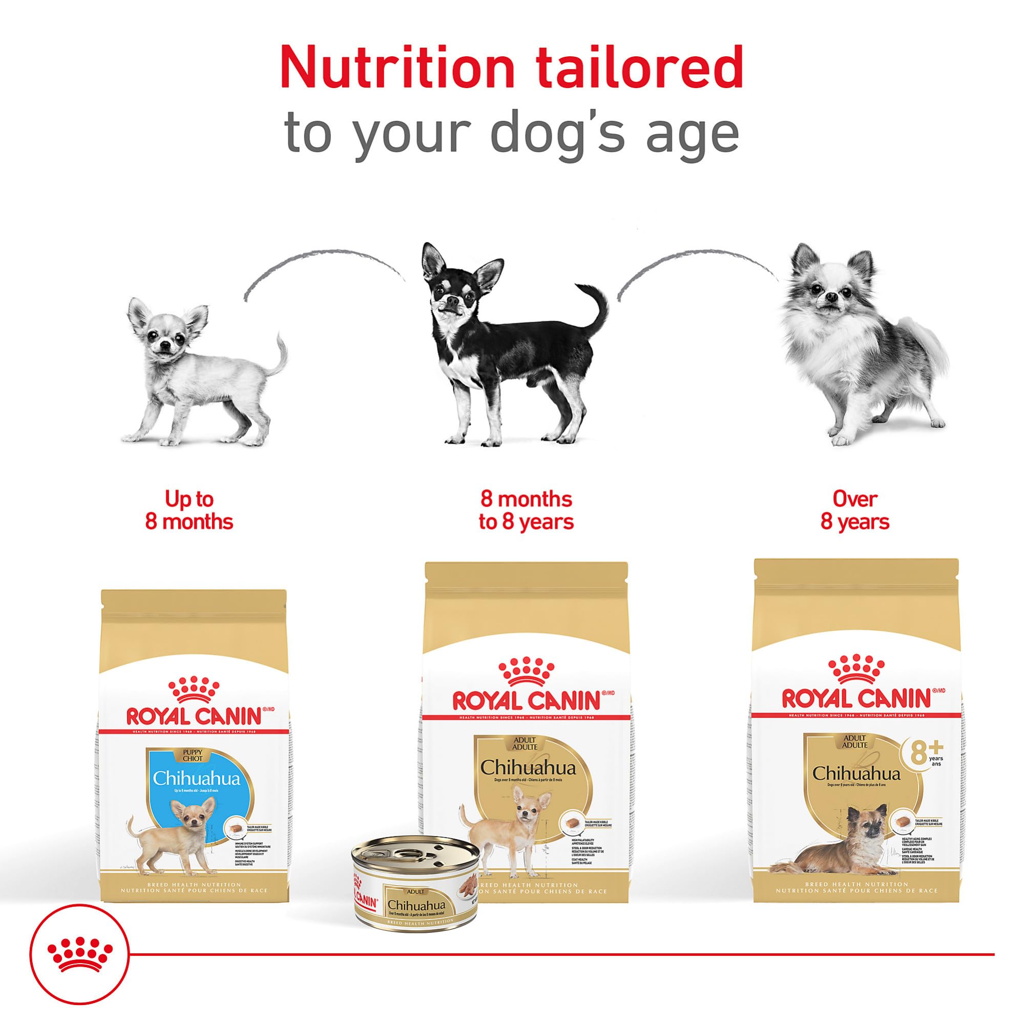 Taurine EPA DHA pour le cœur des petits chiens