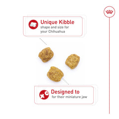 Gros plan sur les croquettes, taille adaptée et détails visibles.