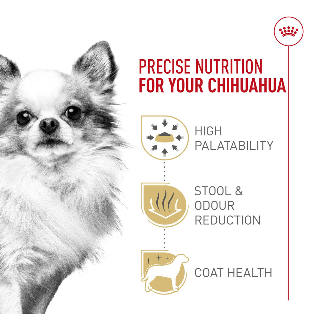 ROYAL CANIN Chihuahua Adulte : arômes exceptionnels pour les chats difficiles.