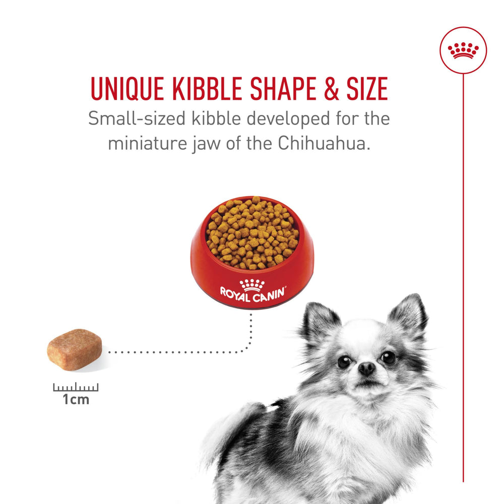 ROYAL CANIN Chihuahua Adulte : digestibilité et soutien intestinal.