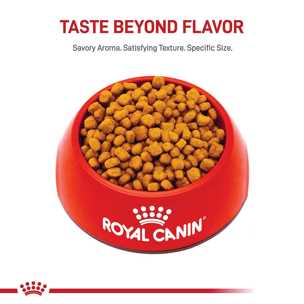 ROYAL CANIN Chihuahua Adulte : possibilité de mélanger avec de la nourriture humide.