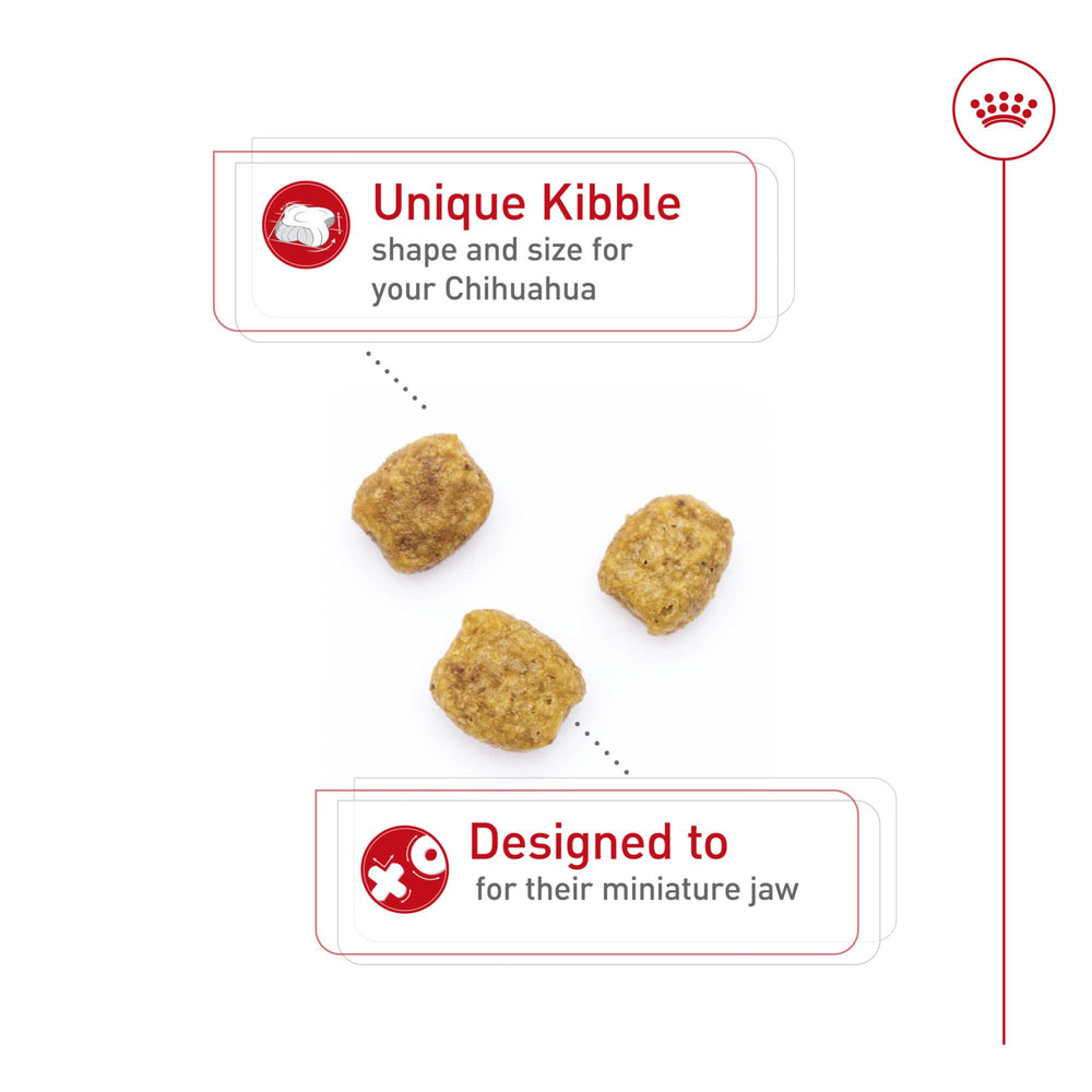 ROYAL CANIN Chihuahua Adulte : croquettes adaptées au museau pointu.